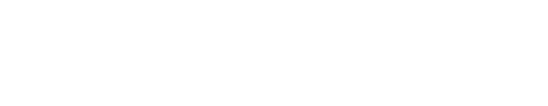 logo pe horizontal